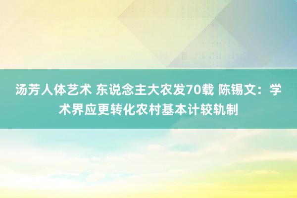 汤芳人体艺术 东说念主大农发70载 陈锡文：学术界应更转化农村基本计较轨制