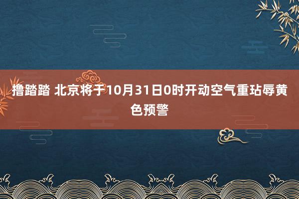 撸踏踏 北京将于10月31日0时开动空气重玷辱黄色预警