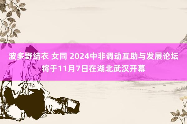 波多野结衣 女同 2024中非调动互助与发展论坛将于11月7日在湖北武汉开幕