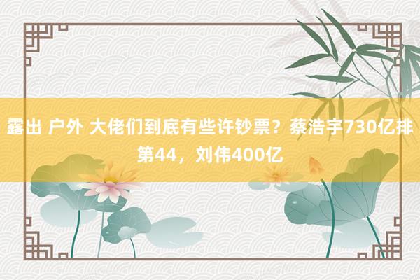 露出 户外 大佬们到底有些许钞票？蔡浩宇730亿排第44，刘伟400亿