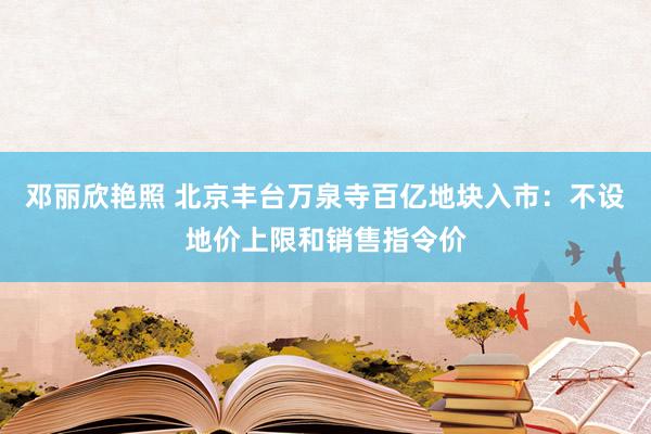 邓丽欣艳照 北京丰台万泉寺百亿地块入市：不设地价上限和销售指令价