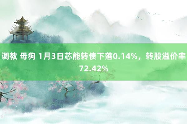 调教 母狗 1月3日芯能转债下落0.14%，转股溢价率72.42%