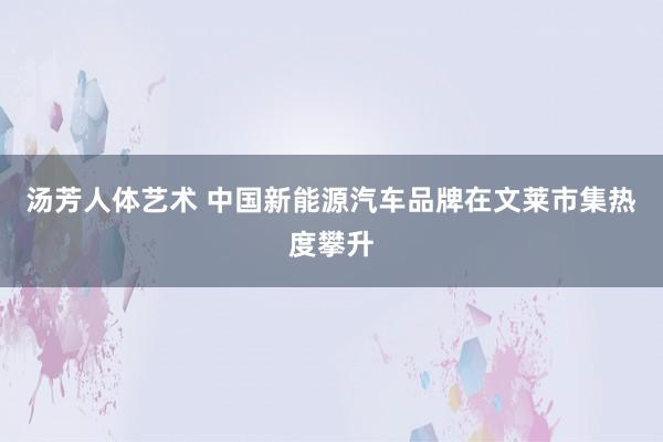 汤芳人体艺术 中国新能源汽车品牌在文莱市集热度攀升