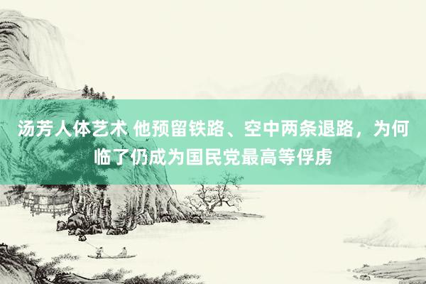 汤芳人体艺术 他预留铁路、空中两条退路，为何临了仍成为国民党最高等俘虏