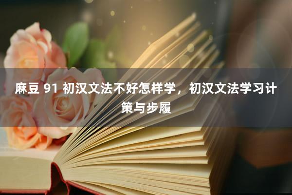 麻豆 91 初汉文法不好怎样学，初汉文法学习计策与步履