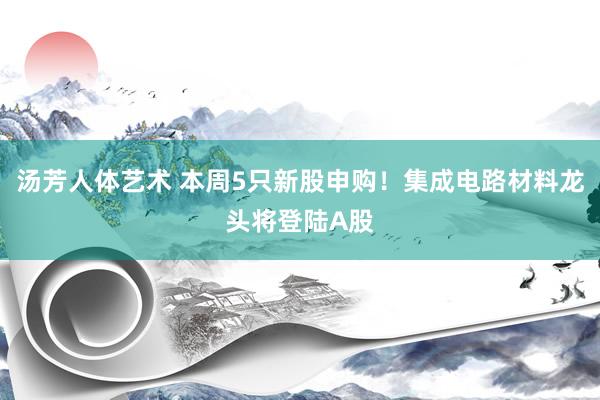 汤芳人体艺术 本周5只新股申购！集成电路材料龙头将登陆A股