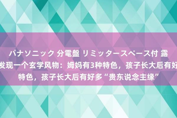 パナソニック 分電盤 リミッタースペース付 露出・半埋込両用形 发现一个玄学风物：姆妈有3种特色，孩子长大后有好多“贵东说念主缘”