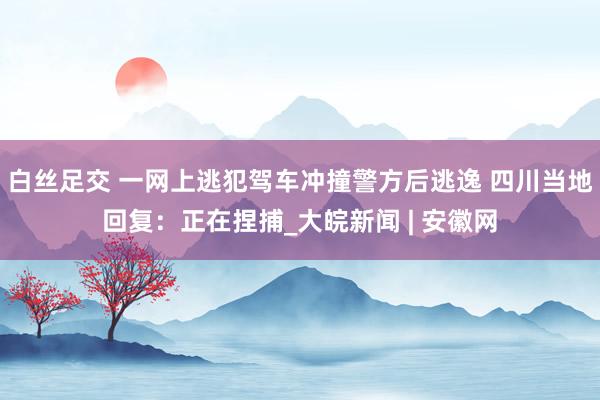 白丝足交 一网上逃犯驾车冲撞警方后逃逸 四川当地回复：正在捏捕_大皖新闻 | 安徽网