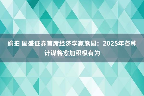 偷拍 国盛证券首席经济学家熊园：2025年各种计谋将愈加积极有为